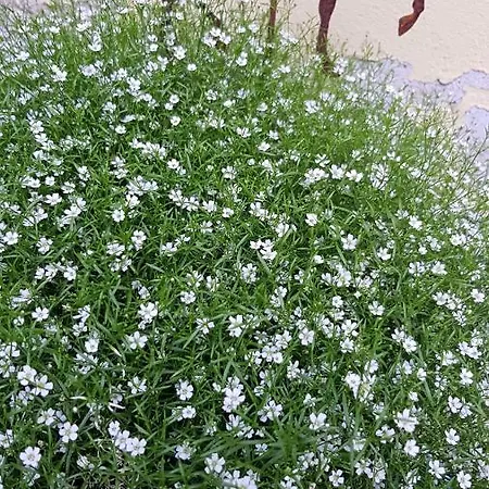 Small Stable - Charmantes Haeuschen Mitten In למגו