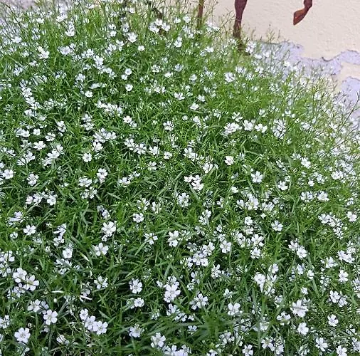 Small Stable - Charmantes Haeuschen Mitten In Lemgo